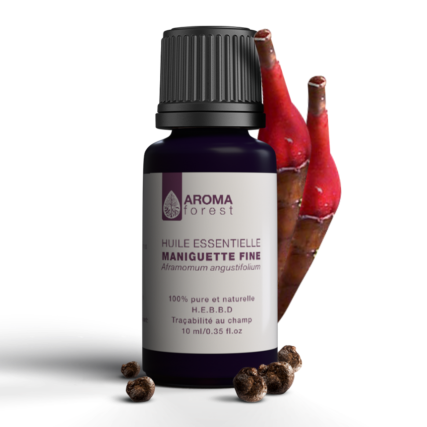Nos Essences Botaniques d'Exception