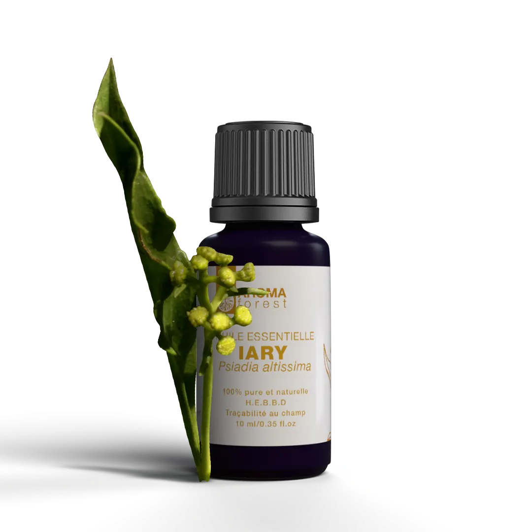 HUILE ESSENTIELLE IARY