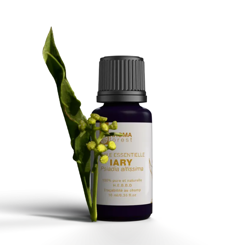 HUILE ESSENTIELLE IARY